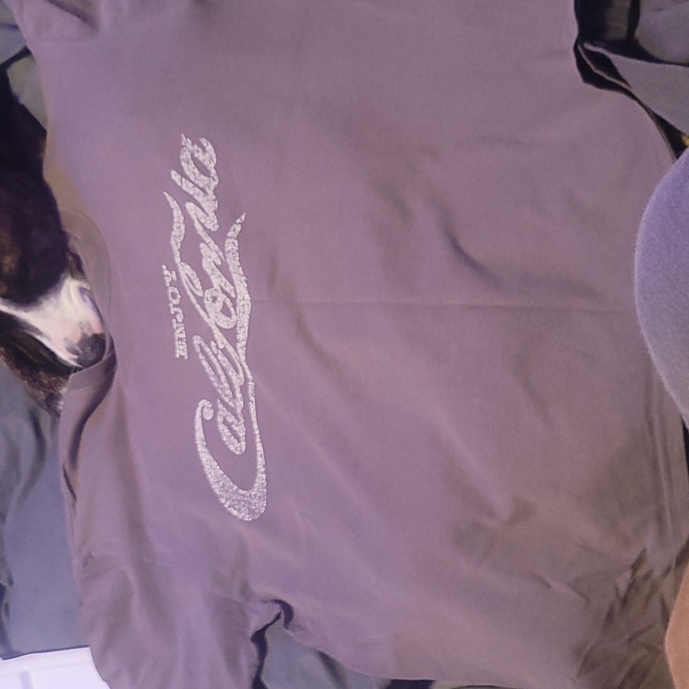 Enjoy California. Faded. Medium Men's Tshirt. A tiny hole but still hip.